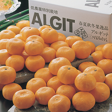 ★静岡三ケ日産アルギットみかん　5kg
