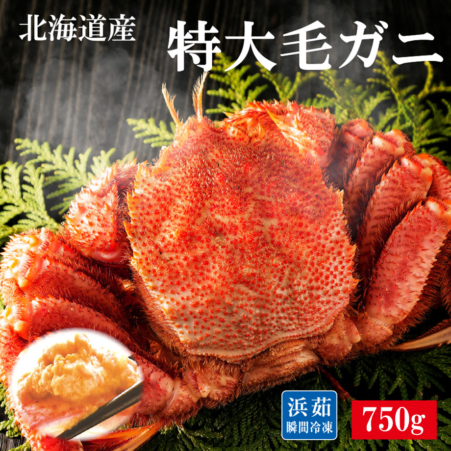 [北海道産]浜茹で毛ガニ 約750g（１尾セット、2尾セット）