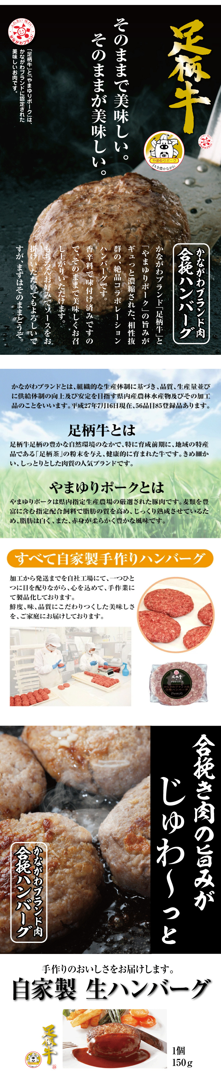 商品の説明画像