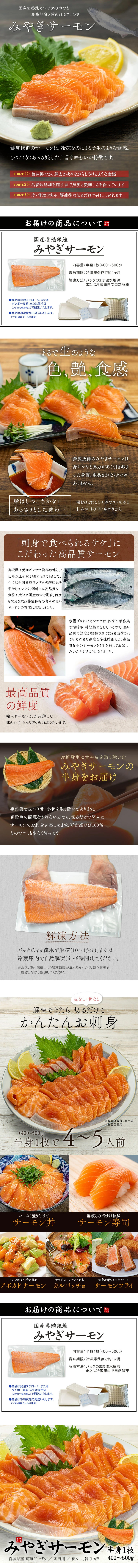 商品の説明画像
