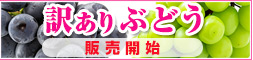 訳ありぶどう