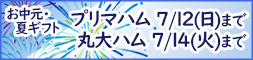 夏ギフト